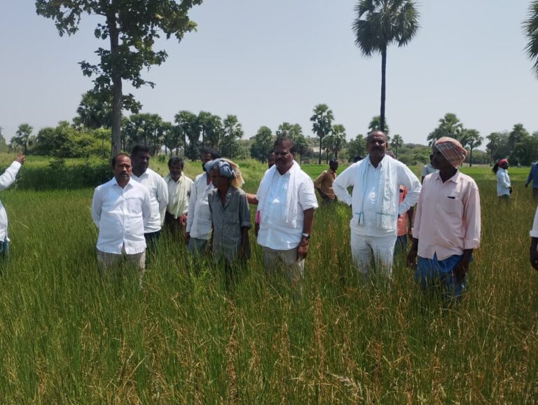 కల్వకుర్తిలో కరెంటు సెగ.. ఎండిపోతున్న పంటలపై బీఆర్‌ఎస్ నేతల ఆగ్రహం